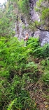 Plants: image 82 Of 208 Thumb